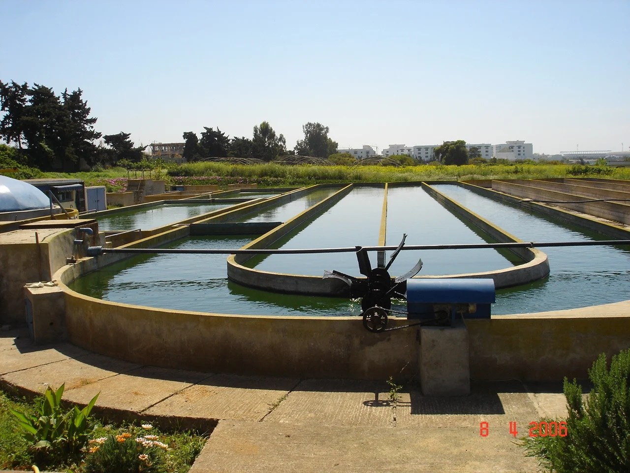 Microalgae and Wastewater Treatment